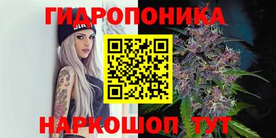 амф Пугачёв